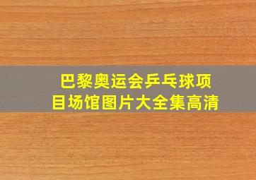 巴黎奥运会乒乓球项目场馆图片大全集高清