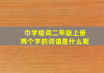 巾字组词二年级上册两个字的词语是什么呢