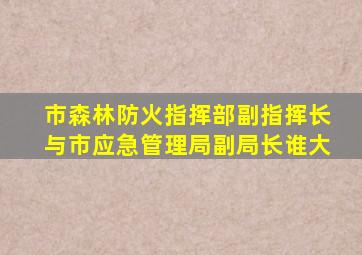 市森林防火指挥部副指挥长与市应急管理局副局长谁大