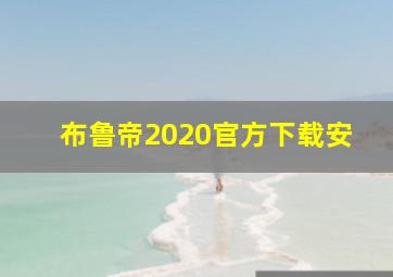 布鲁帝2020官方下载安