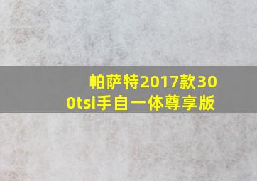 帕萨特2017款300tsi手自一体尊享版