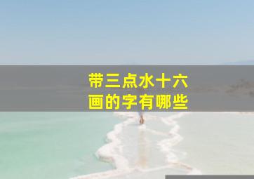 带三点水十六画的字有哪些