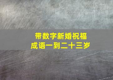 带数字新婚祝福成语一到二十三岁