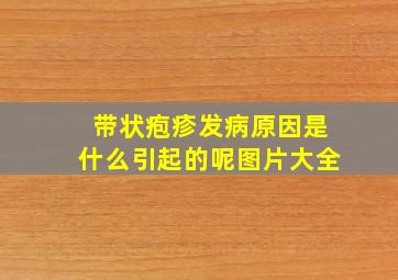 带状疱疹发病原因是什么引起的呢图片大全