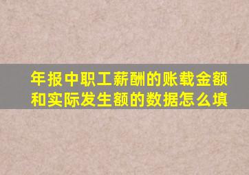 年报中职工薪酬的账载金额和实际发生额的数据怎么填