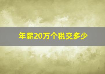 年薪20万个税交多少