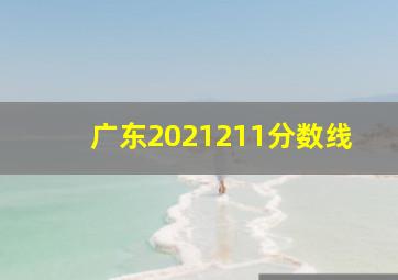 广东2021211分数线