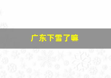 广东下雪了嘛