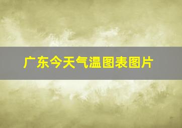 广东今天气温图表图片