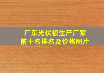 广东光伏板生产厂家前十名排名及价格图片