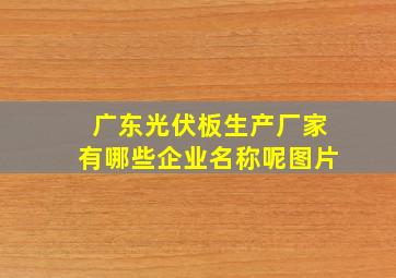 广东光伏板生产厂家有哪些企业名称呢图片