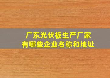 广东光伏板生产厂家有哪些企业名称和地址