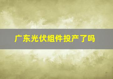 广东光伏组件投产了吗