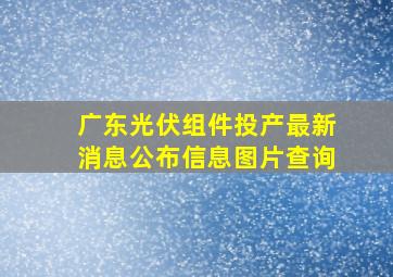 广东光伏组件投产最新消息公布信息图片查询