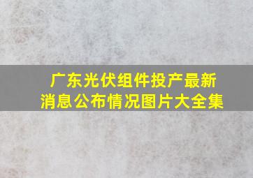 广东光伏组件投产最新消息公布情况图片大全集