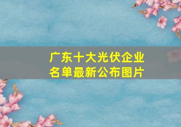 广东十大光伏企业名单最新公布图片