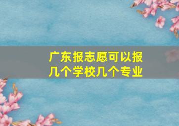 广东报志愿可以报几个学校几个专业