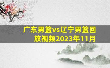 广东男篮vs辽宁男篮回放视频2023年11月