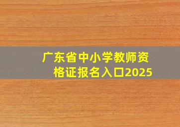 广东省中小学教师资格证报名入口2025