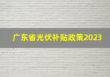 广东省光伏补贴政策2023