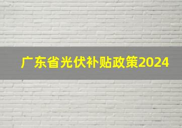 广东省光伏补贴政策2024