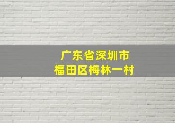 广东省深圳市福田区梅林一村