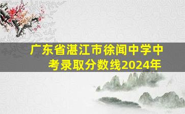 广东省湛江市徐闻中学中考录取分数线2024年