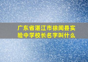 广东省湛江市徐闻县实验中学校长名字叫什么