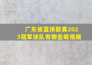 广东省篮球联赛2023冠军球队有哪些呢视频