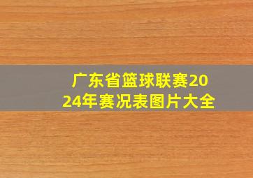 广东省篮球联赛2024年赛况表图片大全