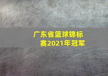 广东省篮球锦标赛2021年冠军