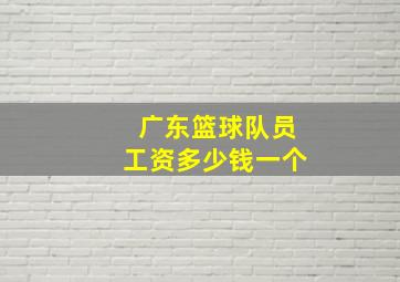 广东篮球队员工资多少钱一个