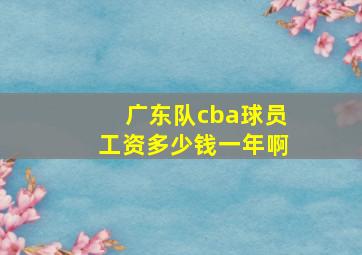 广东队cba球员工资多少钱一年啊