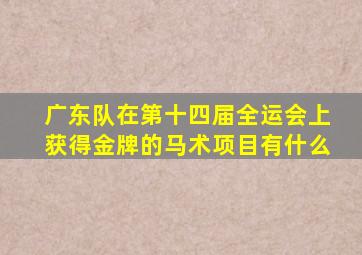 广东队在第十四届全运会上获得金牌的马术项目有什么