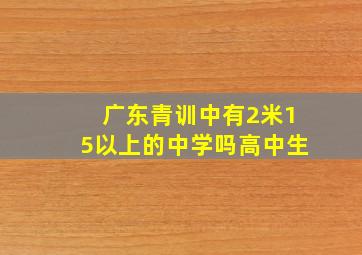 广东青训中有2米15以上的中学吗高中生