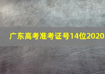 广东高考准考证号14位2020