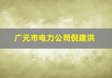 广元市电力公司倪建洪