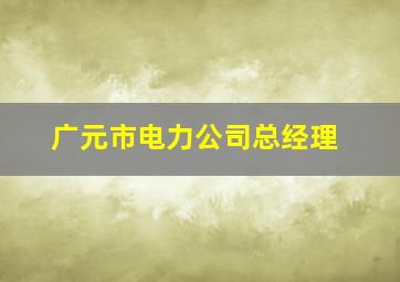 广元市电力公司总经理