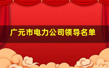 广元市电力公司领导名单