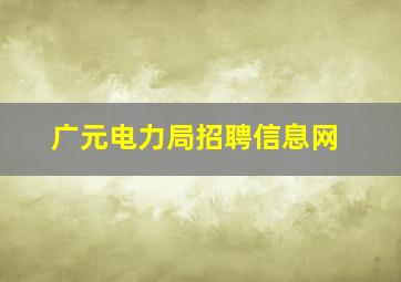 广元电力局招聘信息网