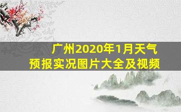 广州2020年1月天气预报实况图片大全及视频