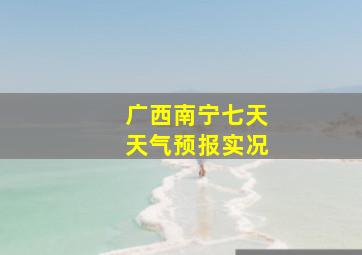 广西南宁七天天气预报实况