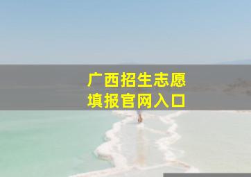 广西招生志愿填报官网入口