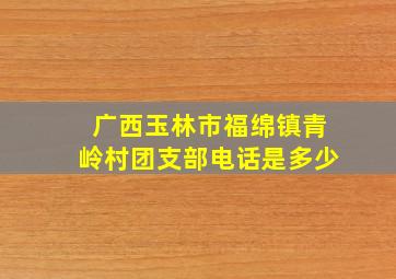 广西玉林市福绵镇青岭村团支部电话是多少