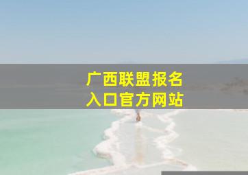 广西联盟报名入口官方网站