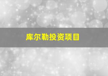 库尔勒投资项目