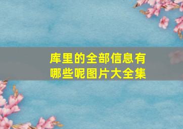 库里的全部信息有哪些呢图片大全集