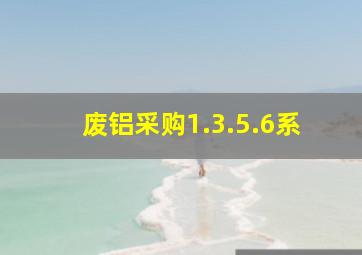 废铝采购1.3.5.6系