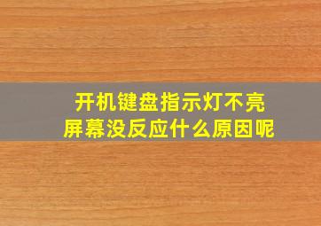 开机键盘指示灯不亮屏幕没反应什么原因呢