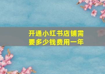 开通小红书店铺需要多少钱费用一年